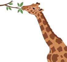 Giraffe reaching for leaves with a playful expression in flat art vector
