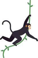 Playful monkey swinging on green vine in minimal style illustration vector