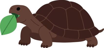 Brown tortoise happily munching on a green leaf in a minimalistic illustration vector