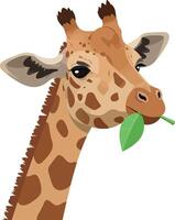 Playful giraffe with a green leaf in its mouth in flat art style vector