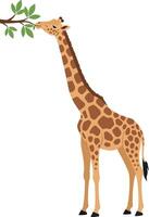 Giraffe reaching for leaves on a tree in flat art style vector