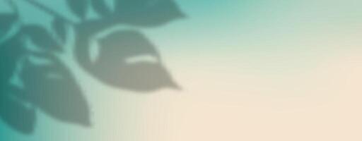 A shadow of leaves on a green background vector
