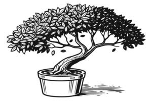 Elegant Topiary in a Pot A Minimalist Botanical Design vector