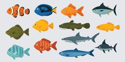 Set of Colorful Fish Flat Illustrations. Various Types of Fish vector