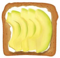Toast Bread with cream avocado topping vector