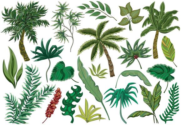 Colorful design set with colorful tropical leaves, palm trees, jungle exotic plants