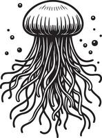 Jellyfish Sketch Drawing. vector