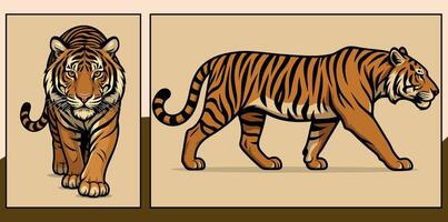 Tiger front and side view cartoon illustration vector