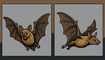 Bat front and side view illustration vector