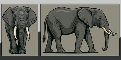 Elephant front and side view cartoon illustration vector