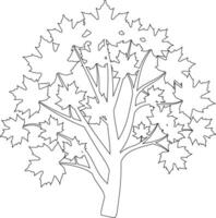 Maple Tree Line Art Illustration, Simple Outline of Autumn Leaves vector