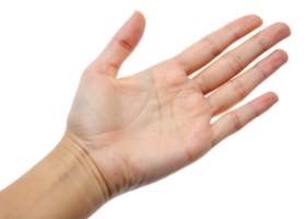 Closeup of Clean Open Empty Hand Palm png