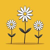 Minimalist simple line drawing three daisies. vector