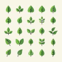 Flat icon collection of green leaves with a bio-organic and eco-friendly design. vector