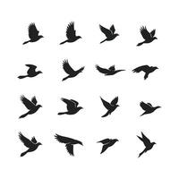 Set of bird icons in silhouette form. A collection of flying illustrations representing nature. vector