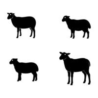 four sheep silhouettes on a white background vector