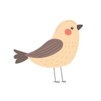 Soft cream bird with brown wings and tender posture, ideal for rustic nature-inspired graphics, peaceful organic prints, and earthy visual compositions vector