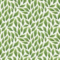 Seamless Pattern with Spring Green Leaves. Delicate Background for Fabric, Wallpaper, Wrapping Paper, etc. vector