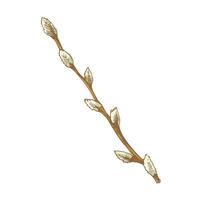 Hand drawn colored vintage sketch of willow branch with buds vector