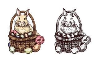 Hand drawn colored and monochrome vintage sketch of Easter basket with bunny and eggs vector