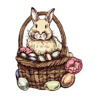 Hand drawn colored vintage sketch of Easter basket with bunny and eggs vector