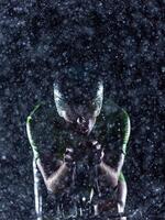 A triathlete braving the rain as he cycles through the night, preparing himself for the upcoming marathon. The blurred raindrops in the foreground and the dark, moody atmosphere in the background add photo