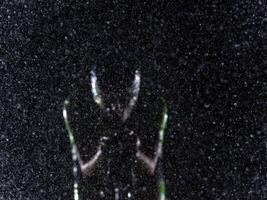 A triathlete braving the rain as he cycles through the night, preparing himself for the upcoming marathon. The blurred raindrops in the foreground and the dark, moody atmosphere in the background add photo