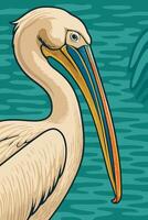Pelican Illustration with Detailed Feathers and Striking Colorful Beak on Water vector