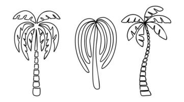 Set of different palm tree outline drawings. vector