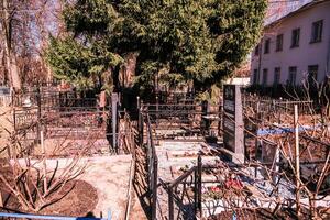 A cemetery with a large tree in the middle photo