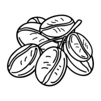 Coffee beans on branch, outline icon. Hand drawn black line sketch on white background. Logo template. illustration vector