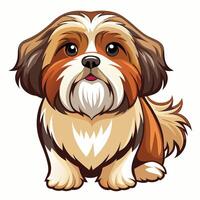 Adorable Shitzu Dog Standing Isolated on a White Background vector