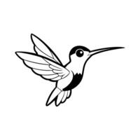 The black and white of a flying hummingbird. vector