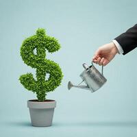 Businessman watering plant with dollar sign photo