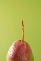 A pear sitting on a table with a green background photo