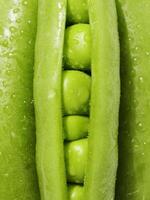 close-up view of a bunch of green beans. These vegetables are part of the legume family and can be categorized as produce, specifically snap peas and snow peas photo