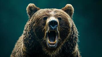 A close up of a brown bear with its mouth open photo