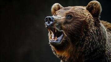 A bear with its mouth open photo