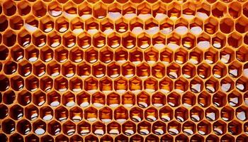 Close-up View of Honeycomb Structure Showcasing Intricate Patterns and Textures Created by Honeybees photo