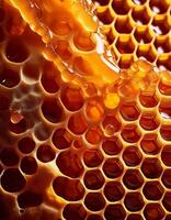 Close-up View of Honeycomb Showcasing Intricate Hexagonal Patterns and Golden Honey Under Natural Light photo