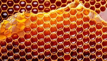 Honeycomb Structure Showcasing Natural Honey With Rich Amber Colors and Intricate Hexagonal Patterns Under Soft Lighting photo