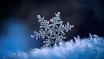 Unique Snowflake Crystal Perched Delicately on Frosty Surface in Cold Winter Landscape photo