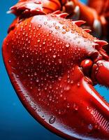 Close-up of a Vibrant Red Lobster Claw Displaying Droplets of Water Against a Blue Background Highlighting Details of Its Texture photo