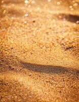 Soft Golden Sand Glistens Under Sunlight at a Tranquil Beach in the Early Evening photo