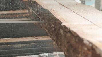 Closeup of cut pine tree log on sawing machine at wood production factory. Timber material processing and cutting at sawmill. Manufacturing process at lumber mill. Sawing woods on power machine 4 video