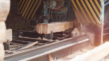 Closeup of cut pine tree log on sawing machine at wood production factory. Timber material processing and cutting at sawmill. Manufacturing process at lumber mill. Sawing woods on power machine 21 video