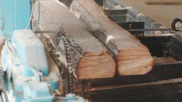 Closeup of cut pine tree log on sawing machine at wood production factory. Timber material processing and cutting at sawmill. Manufacturing process at lumber mill. Sawing woods on power machine 20 video