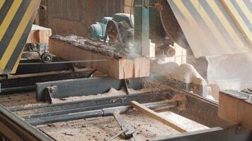 Closeup of cut pine tree log on sawing machine at wood production factory. Timber material processing and cutting at sawmill. Manufacturing process at lumber mill. Sawing woods on power machine 6 video