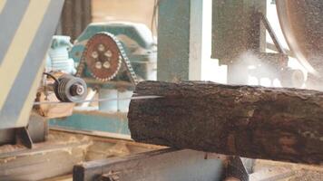 Closeup of cut pine tree log on sawing machine at wood production factory. Timber material processing and cutting at sawmill. Manufacturing process at lumber mill. Sawing woods on power machine 14 video
