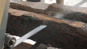 Closeup of cut pine tree log on sawing machine at wood production factory. Timber material processing and cutting at sawmill. Manufacturing process at lumber mill. Sawing woods on power machine 3 video